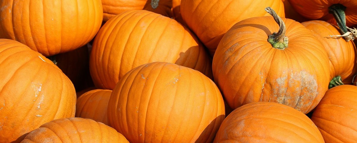 pumpkin, landscaping, landscape services, hoa management
